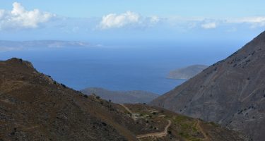 DSC_0451_com