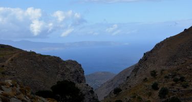 DSC_0453_com