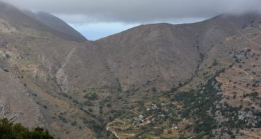 DSC_0456_com