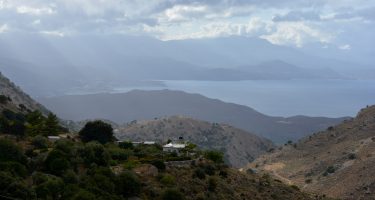 DSC_0461_com