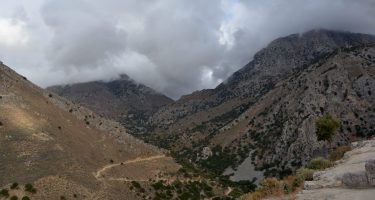 DSC_0470_com